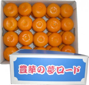 mikan_32