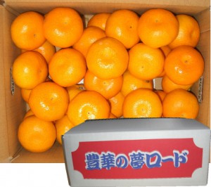 mikan_33